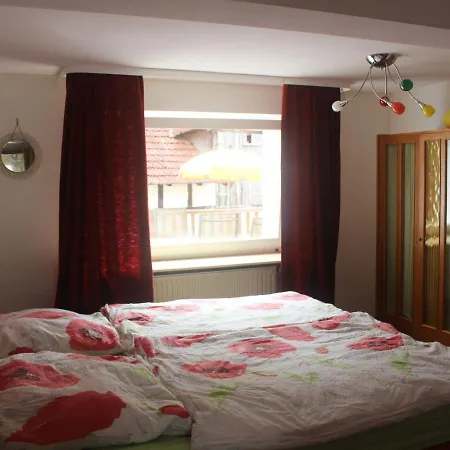 Ferienwohnung Am Borkener See Apartment *